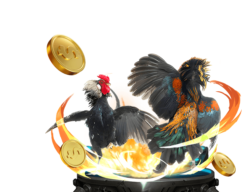 Cá cược Đá gà xs66