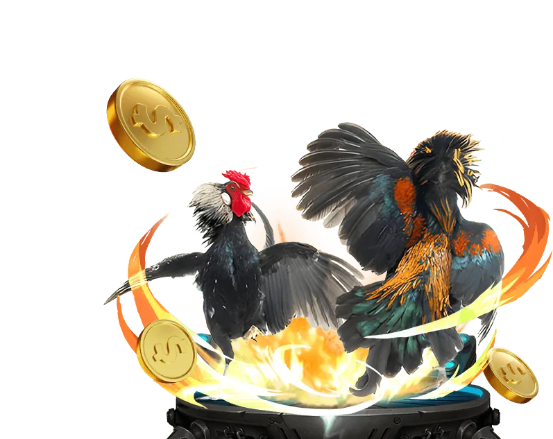 Cá cược Đá gà xs66